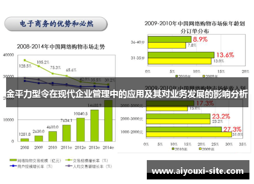 金平力型令在现代企业管理中的应用及其对业务发展的影响分析