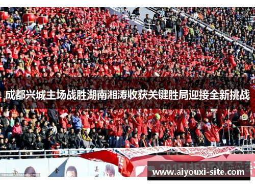 成都兴城主场战胜湖南湘涛收获关键胜局迎接全新挑战