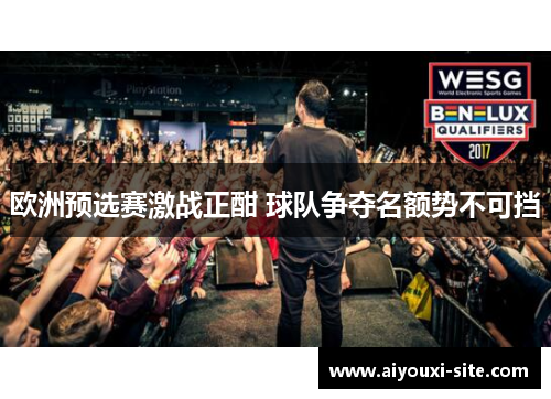 欧洲预选赛激战正酣 球队争夺名额势不可挡