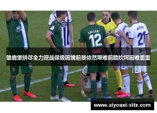 雄鹿堡拼尽全力迎战保级困境前景依然艰难前路坎坷困难重重